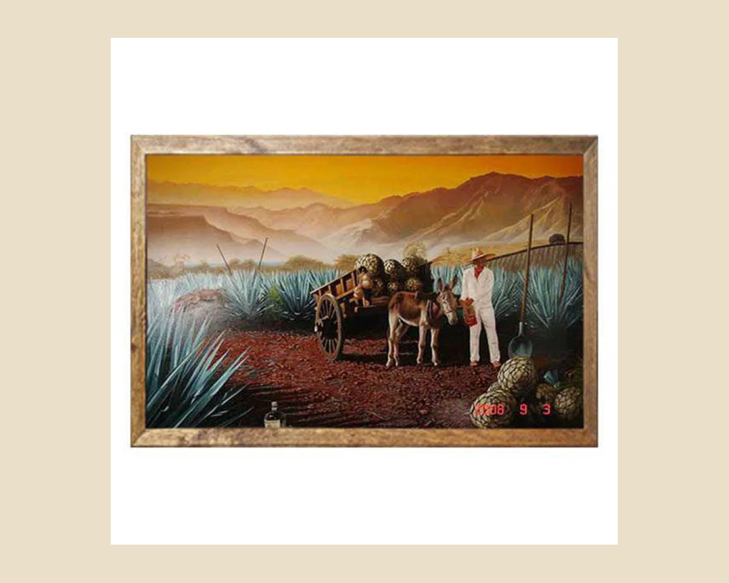 CUADRO DEL CAMPO — vista 2 de 4