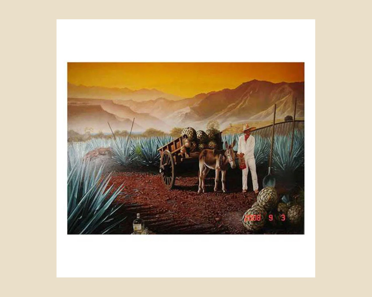 CUADRO DEL CAMPO — vista 4 de 4